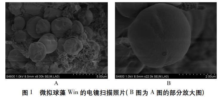 污水處理設備__全康環(huán)保QKEP