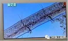 污水處理設(shè)備__全康環(huán)保QKEP