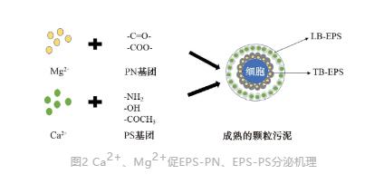 污水處理設(shè)備__全康環(huán)保QKEP